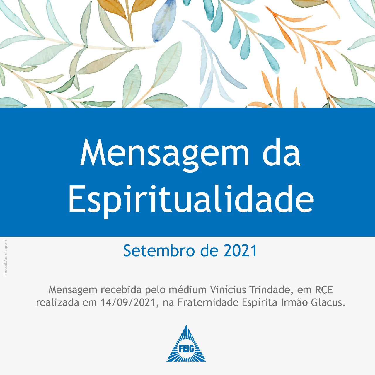 Mensagem da espiritualidade Feig 45 anos